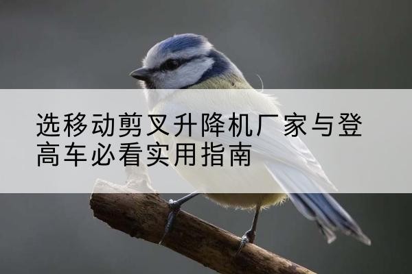 嘉祥电动升降机厂家-选移动剪叉升降机厂家与登高车必看实用指南