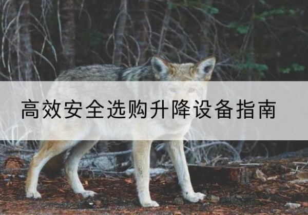 嘉祥升降货梯厂家推荐-*安全选购升降设备指南