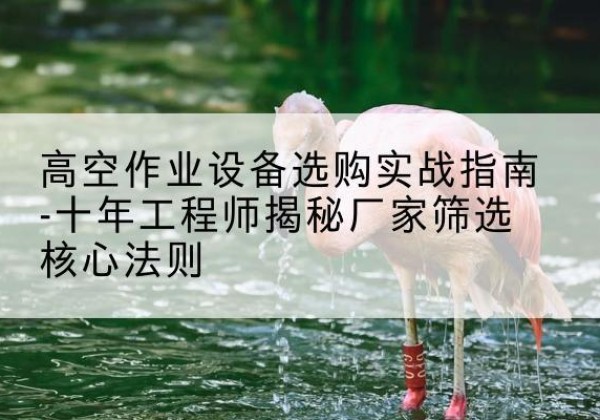 嘉祥剪叉式升降机厂家-高空作业设备选购实战指南-十年工程师揭秘厂家筛选核心法则